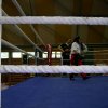 kick-boxen-leipzig-14-05-2005